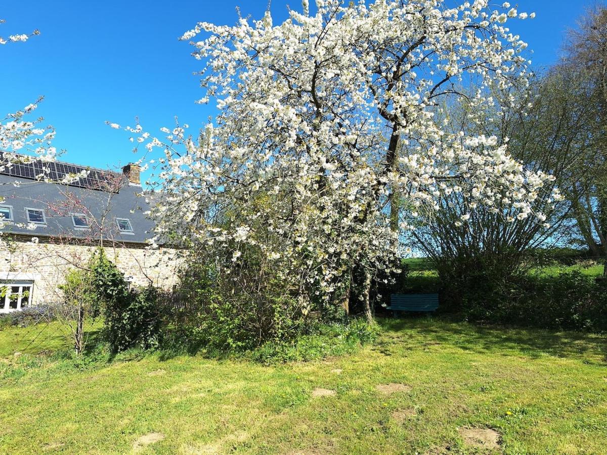 Au Lutin Pomme - Maison De Vacances Bretagne Mellé 外观 照片